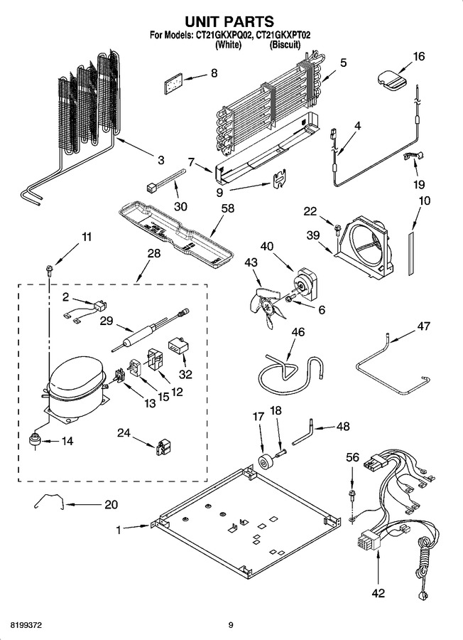 Diagram for CT21GKXPT02